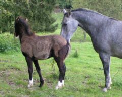 Hilfe, ich bin doch noch ein Baby!