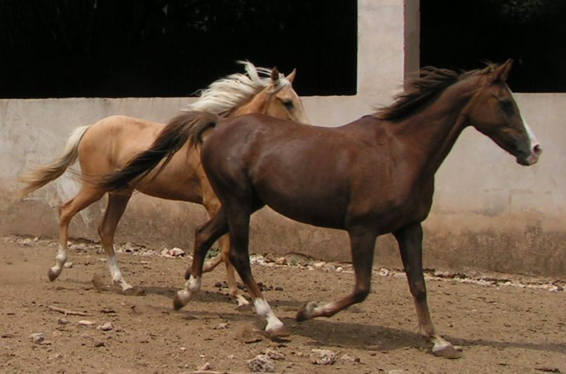 am 15.08.2006 mit ihrer Tochter Divina