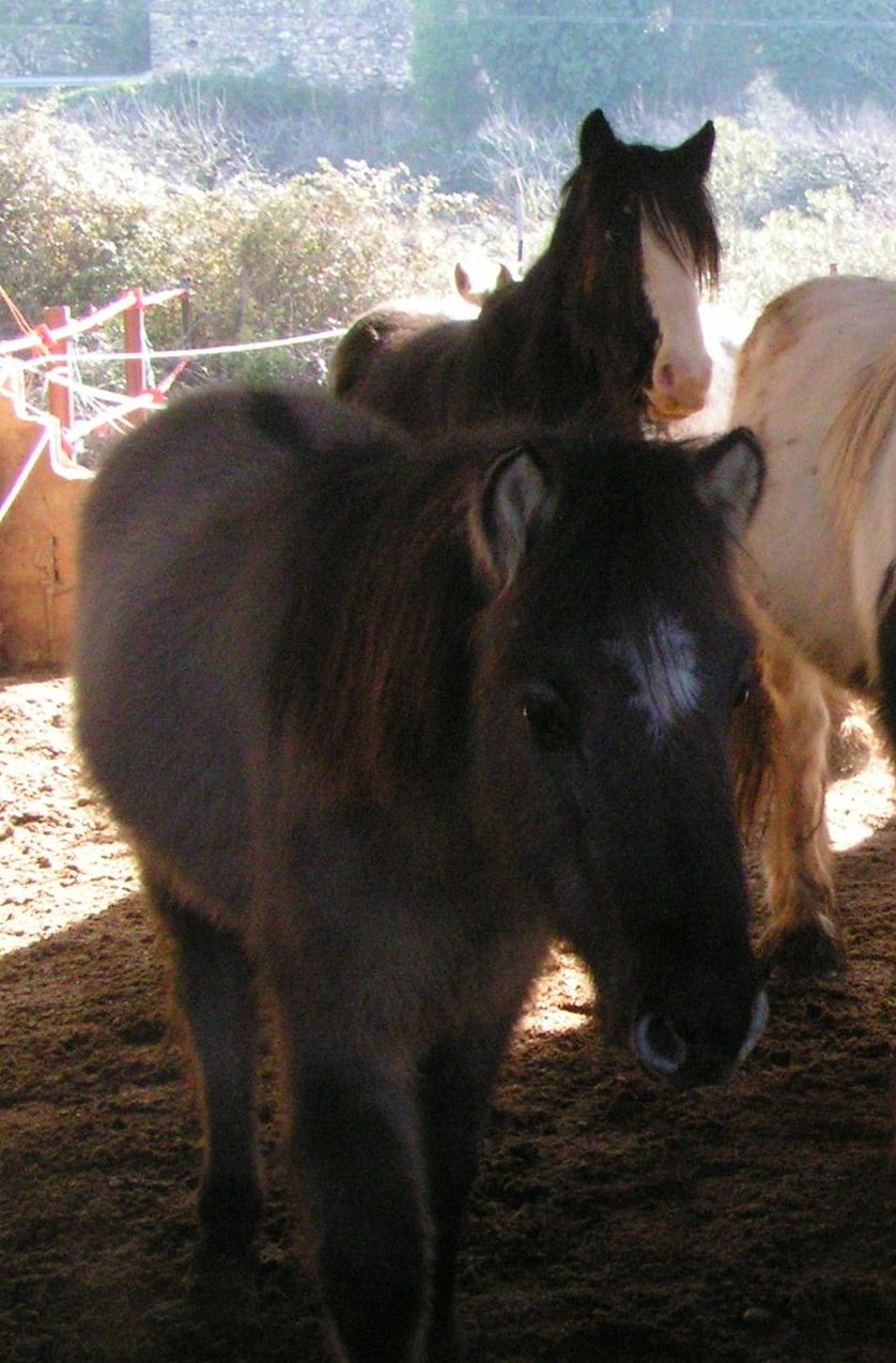 Januar 2007: im Winter nur Flausch